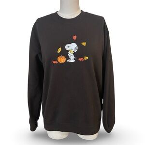 Snoopy embroidery brown sweater
